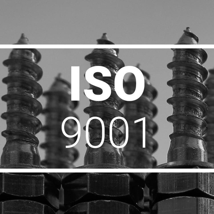 ISO 9001 - Qualitätsmanagement, Einführung & Beratung