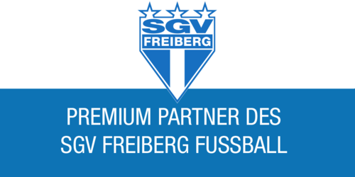 SGV Freiberg Fußball